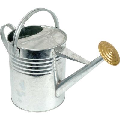 9 Litre Galvanised Watering Can