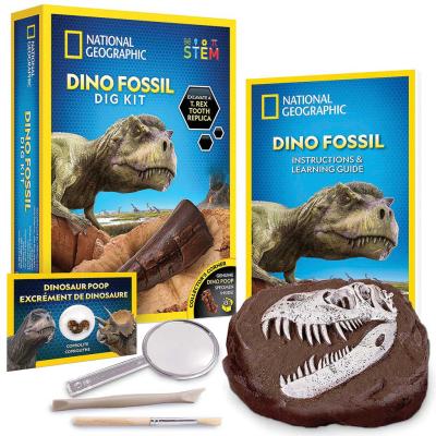 Dinosaur Dig Kit