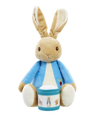 Rainbow Bedtime Cuddles with Peter Rabbit
