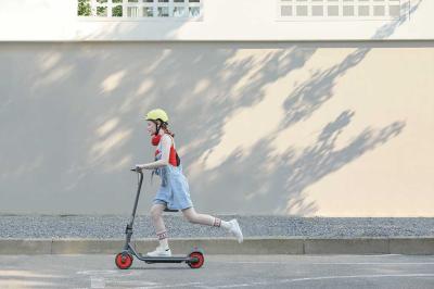 Segway Ninebot Zing C20 Electric Scooter