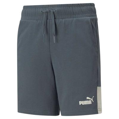 Puma Colourblock Shorts - Slate