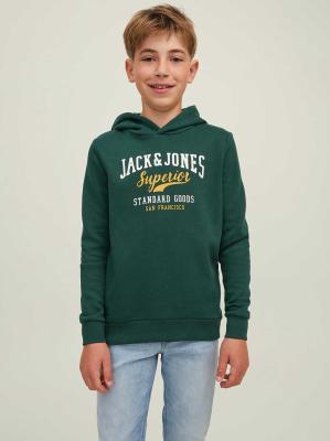 Jack & Jones Logo Hoodie - Pine Grove