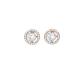 Absolute Halo Style Stud Earrings - Rose Gold