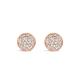 Absolute Pave Stud Earrings - Rose Gold